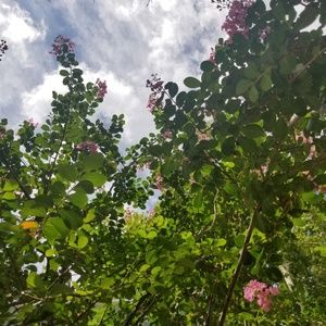 Meet your Posher, Janea